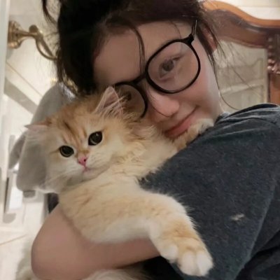 执法者:巴斯·里夫斯